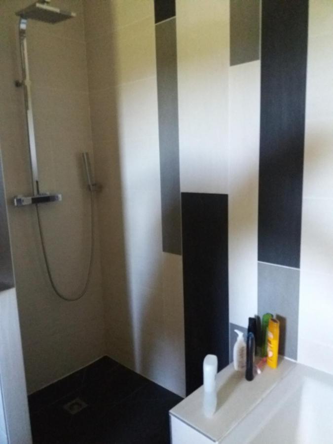 Chambres, Cuisine, Piscine, Spa, Billards, Airhockey, Nature Fillinges Exterior foto